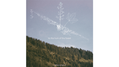 Album cover, design by Mathias Arrignon, based on a photo taken by Sangyi Lee in Heiligkreuz (CH) and a free root map of an Acer pseudoplatanus drawn by Prof. Dr. Erwin Lichtenegger and Prof. Dr. Lore Kutschera found on the web.