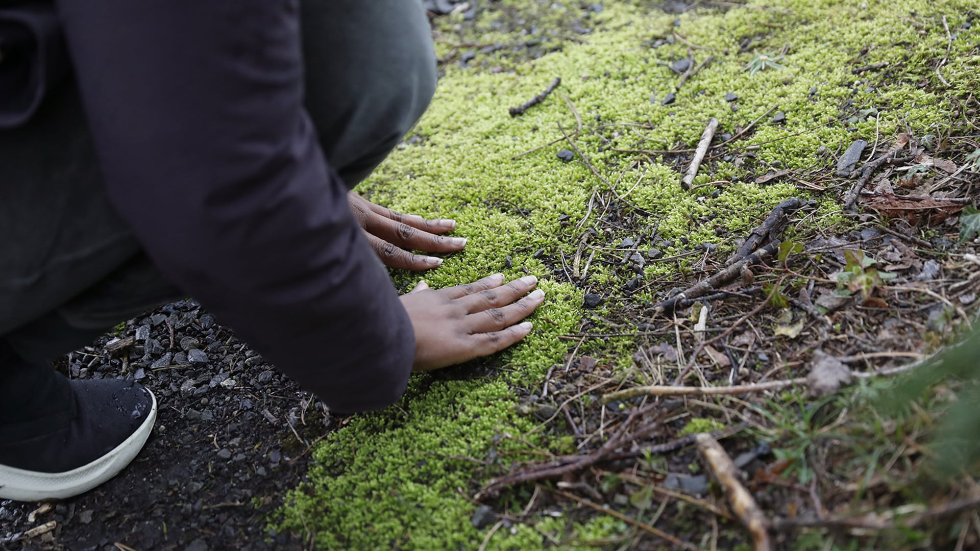 Hands touching mossy rock